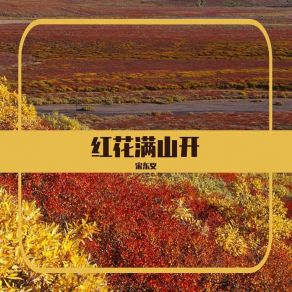 Download track 好山好水好依恋 宋东义