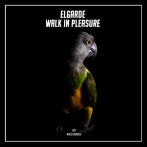 Download track Excellent Day Elgarde