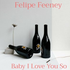 Download track Baby I Love You So Felipe Feeney