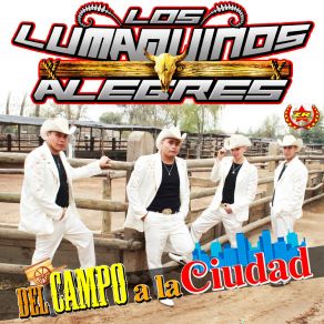 Download track Mañanita Triste Los Lumaquinos Alegres