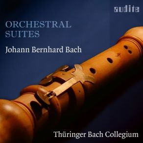 Download track 10. Orchestral Suite No. 2 IV. Bourrée. Gayement Johann Bernhard Bach