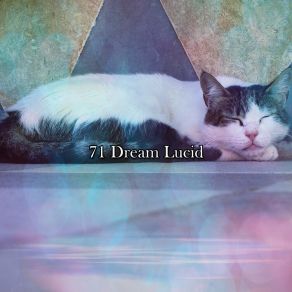 Download track Outer Body Dream Relaxing Music 101