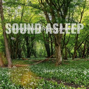 Download track Echoing Birdsong Morning Ambience, Pt. 14 Elijah Wagner