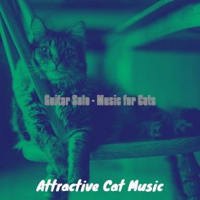 Download track Background For Training Your Cat Attractive Cat Music