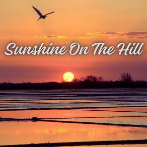 Download track You're Like A Venus Sunshine On The Hill