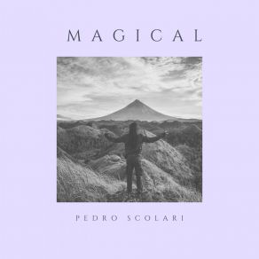 Download track Dreams (Fly Mix) Pedro Scolari