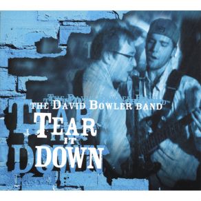 Download track Counting On You The David Bowler Band