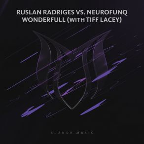 Download track Wonderfull (Original Mix) Tiff Lacey, Ruslan Radriges, Neurofunq