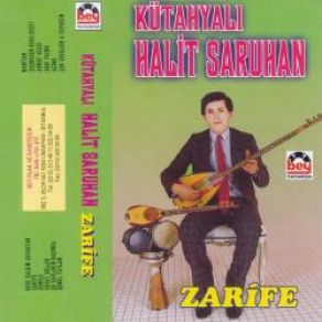 Download track Şu Dağların Başında Halit Saruhan