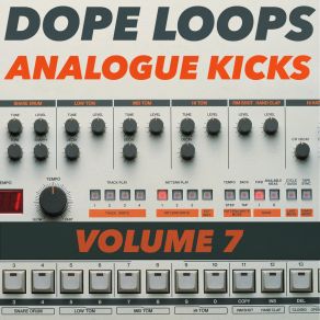 Download track Analoguekikk 11 Dope Loops