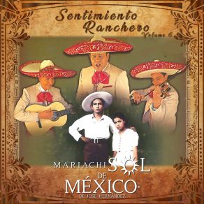 Download track Porque Volviste A Mi Mariachi Sol De Mexico De Jose Hernandez