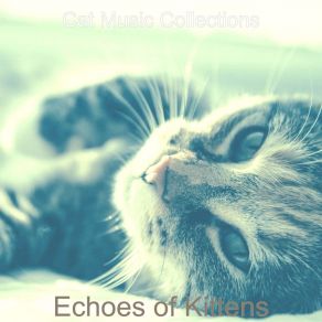 Download track Sumptuous Backdrops For Cats Cat Music Collections