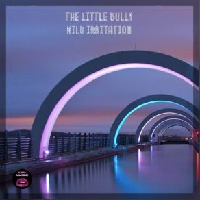 Download track Mild Irritation The Little Bully