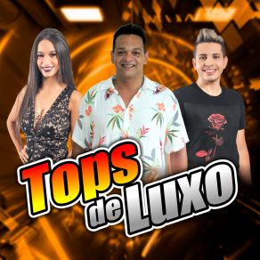 Download track Boiadeira (Cover) Banda Tops De Luxo