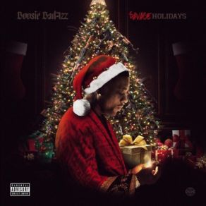 Download track The Bitch Who Stole Christmas Boosie Badazz