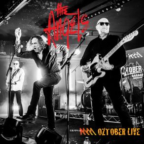 Download track Shadow Boxer (Live) The Angels