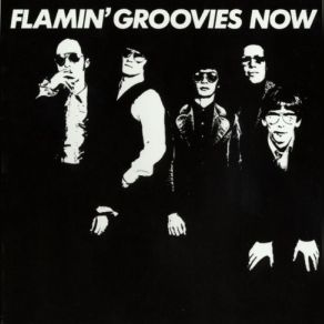 Download track Paint It Black The Flamin' Groovies