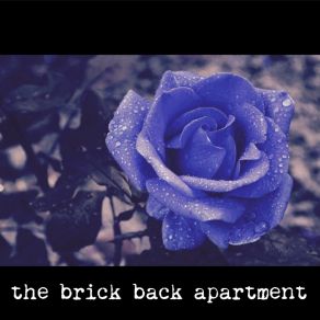 Download track Good Night, Bunny The Brick Back Apartment