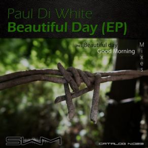 Download track Beautiful Day (Original Mix) Paul Di White