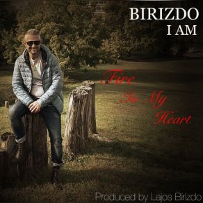 Download track Fire In My Heart (Album Version) Birizdo I Am