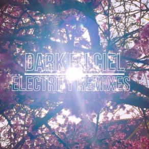 Download track Electrify (Questkesse Remix) Dark En CielQuestkesse