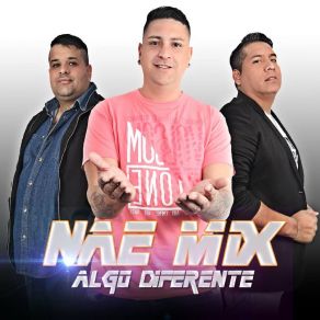 Download track No Logro Olvidarte NaeMix