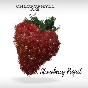 Download track Taste Of Your Lips Chlorophyll Ab