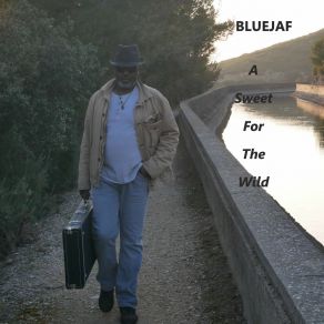 Download track Thank You Mister B Bluejaf