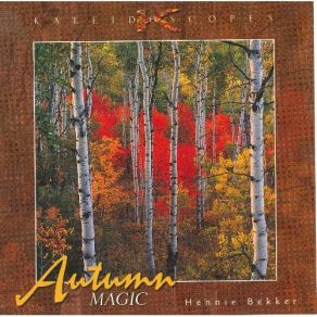 Download track Autumn Elegy Hennie Bekker