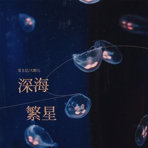 Download track 深海繁星 (伴奏) 大眼儿