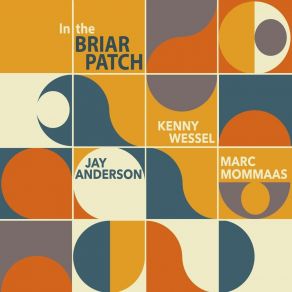 Download track Somewhat Likely Jay Anderson, Marc Mommaas, Kenny Wessel