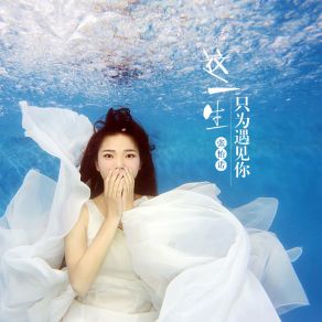 Download track 这一生只为遇见你 (伴奏) 张怡诺