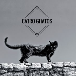 Download track Baile Contundente Catro Ghatos