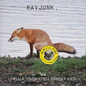 Download track 40 Versions Rävjunk