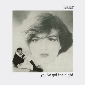 Download track You've Got The Night Lame