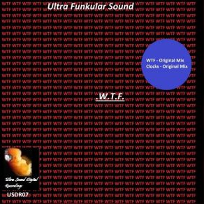 Download track WTF (Original Mix) Ultra Funkular Sound