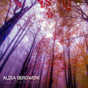 Download track Midnight Alisa Bergwerk