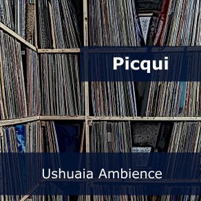 Download track Ushuaia Ambience (Radio Edit) Picqui