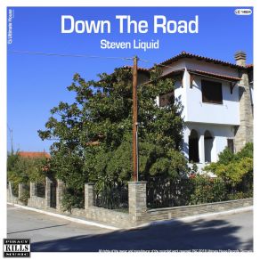 Download track Down The Road (Radio Edit) Steven Liquid