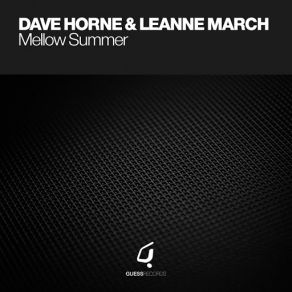 Download track Mellow Summer (Original Mix) Dave Horne