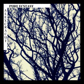 Download track Pure Ecstasy Ak