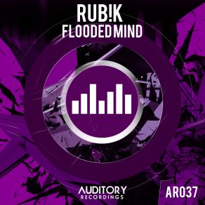 Download track Flooded Mind Rubik