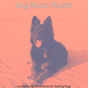 Download track Suave Reducing Dog Stress Dog Music Playlist