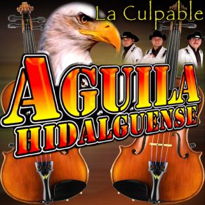 Download track Esta De Parranda El Jefe Aguila Hidalguense