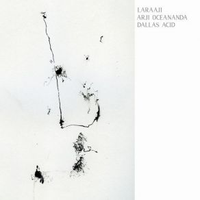 Download track Evening Reduction Laraaji, Dallas Acid, Arji OceAnanda