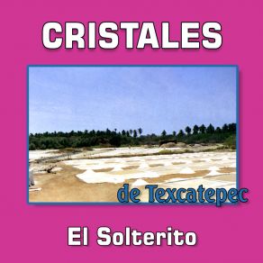 Download track Tomando Y Tomando (Remasterizado 2023) Cristales De Texcatepec