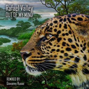 Download track I Will Never Let You Go (Original Mix) Rafael Valley