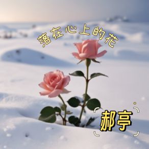 Download track 落在心上的花 (K-Pop) 郝亭