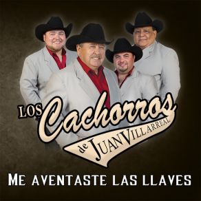 Download track Soy Un Tonto Los Cachorros De Juan Villarreal