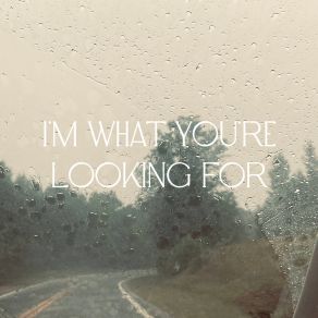 Download track I'm What You're Looking For Andrew Cruz